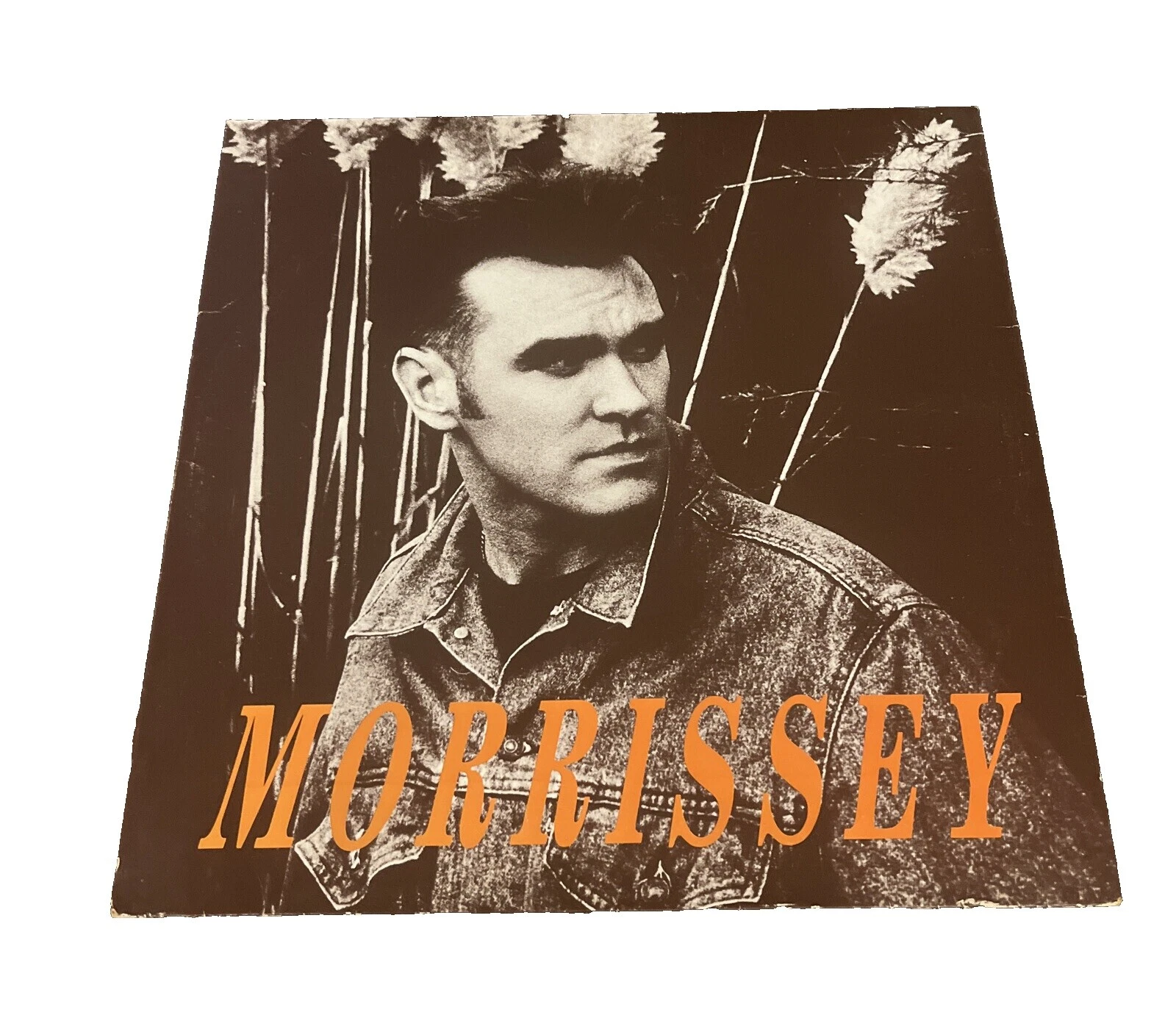 Morrissey Rock Very Good Plus (VG +) Sleeve Vinyl Records