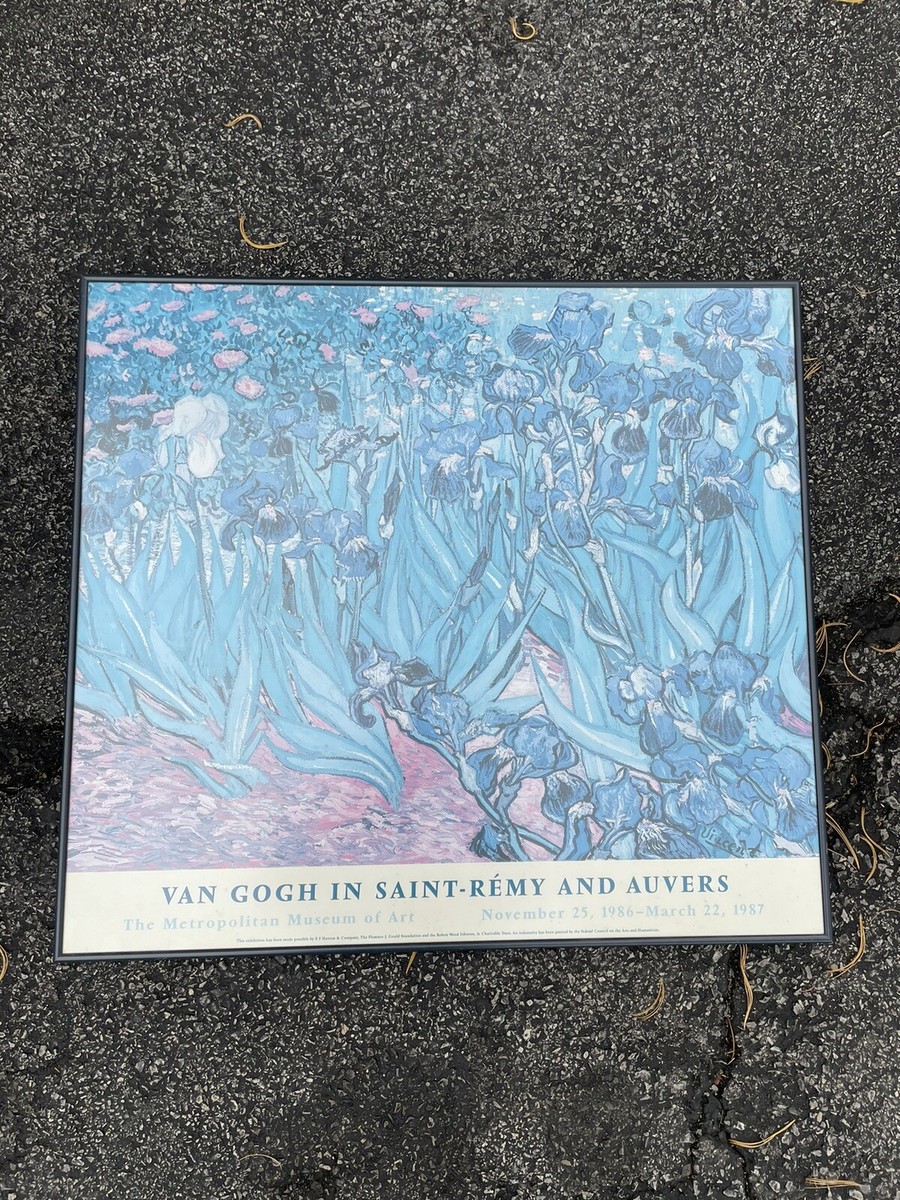 Van Gogh in Saint Remy And Auvers Metropolitan Museum of Art