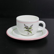 CUTE PRIMULA ITALY FLORAL VERONICA ANAGALLIS-...