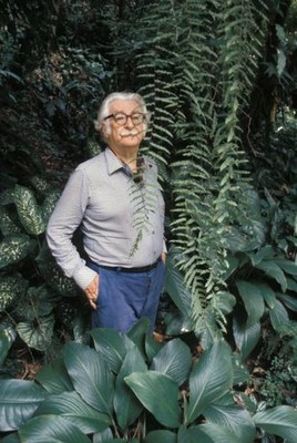 Brazilian landscape architect painter Roberto Burle Marx posed in - Old Photo