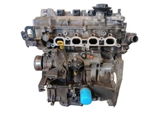 Nackter Motor DACIA DUSTER II 1.6 SCE 115PS H4MD738 209tkm
