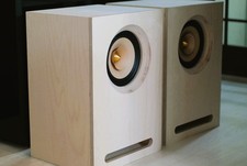 Tang Band W8-1772 Cabinet,  Semi-Horn Loaded Design for Bass Extentioon