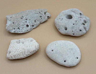  Natural Ocean Coral & Hag Stone Lot Trinidad Beach Found Sea Decor Lot 4