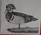 Picture 2 of 3
