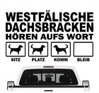 Bild 7 von 18