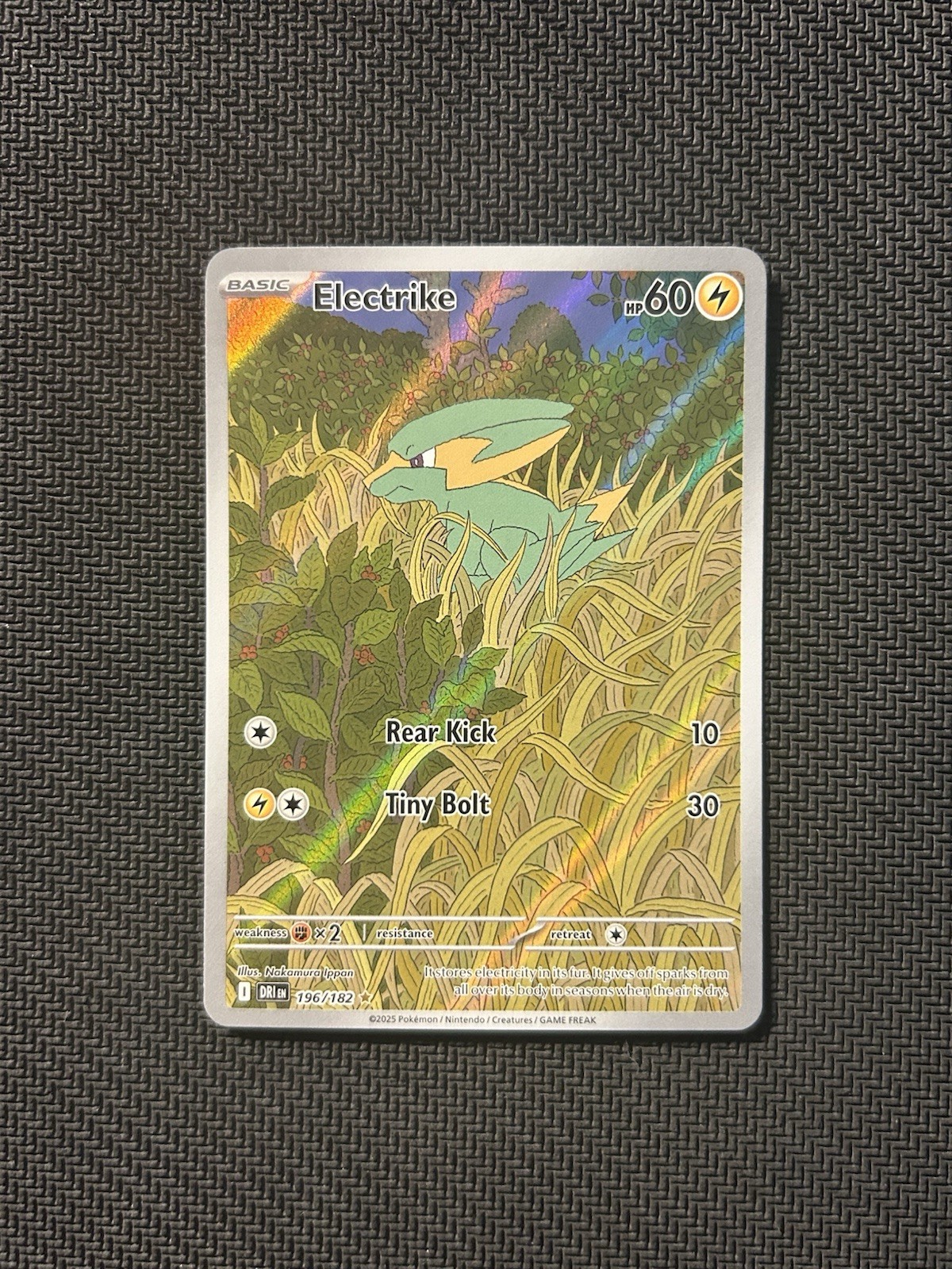 Pokemon TCG Electrike 196/182! NM Condition! See Description!