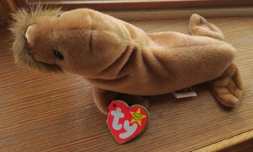 Ty Beanie Baby Paul the Walrus 1999 Mint with Tags