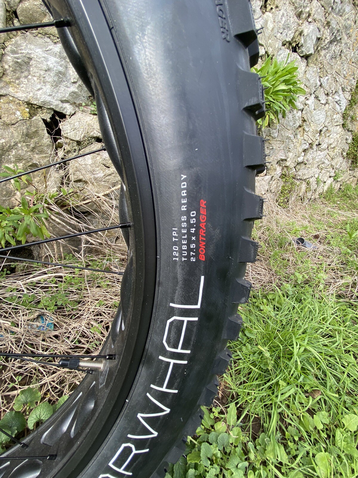 Trek Farley 5 Sz Small Carbon Fork Lifetime Warranty Brand New