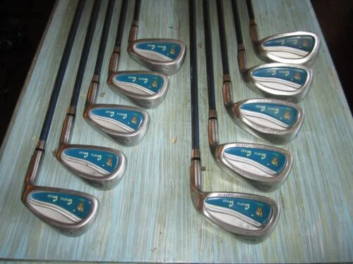 Giant Regular Flex Golf Clubs