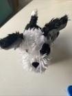 2016 American Girl Doll Melody's Dog Bo Puppy with Leash 7” With Box  #DKH84 — photo 8