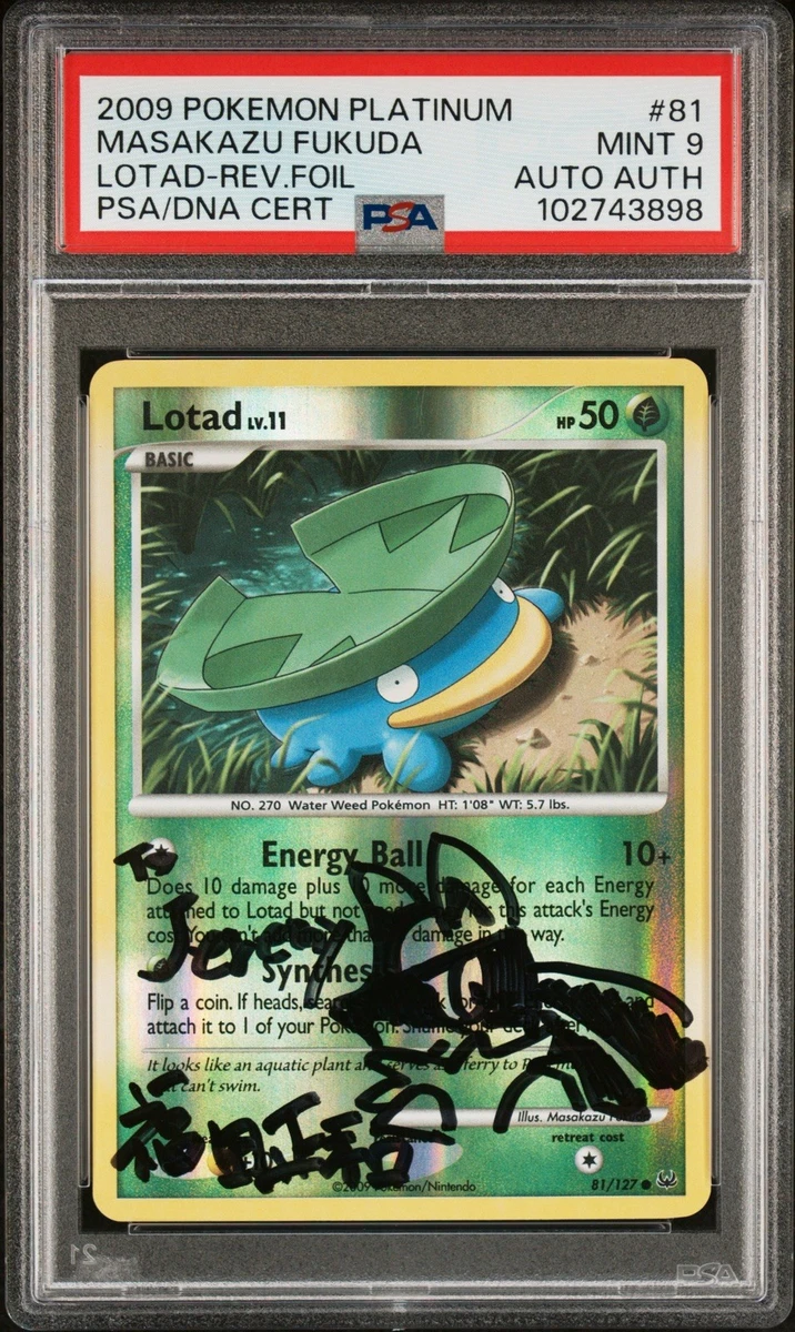 Lotad