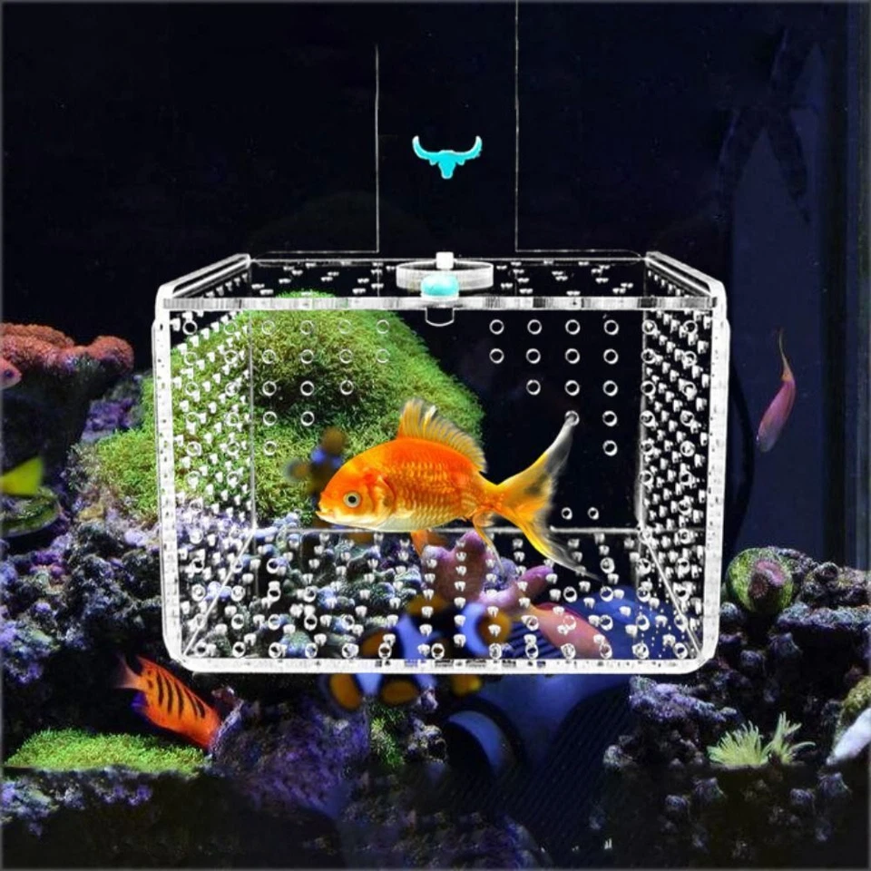 Caja de aislamiento para pecera incubadora de acuario transparente pequeña caja de cría de alevines Foto 2 de 4