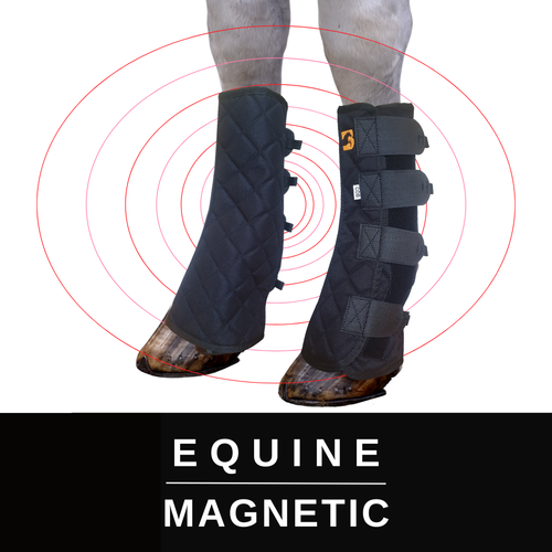 Boots for Horses Therapy Boots by Equine Balance eBay