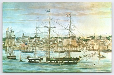 Whaleship William Rotch New Bedford Whaling Museum Postcard