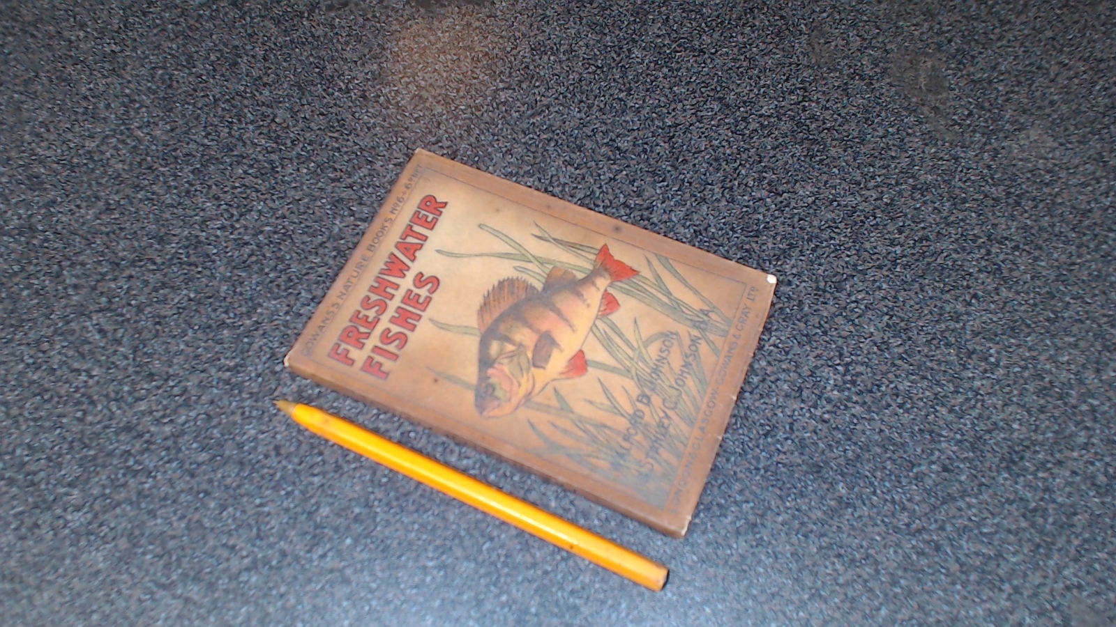 Freshwater Fishes, Walford B. Johnson and Stanely C. Johnson, Gow