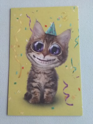 Party cat