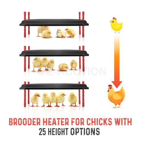 Chick Brooder Heating Plate Warmer Chicken Coop Brooding Heater Poultry Duckling - Picture 55 of 61