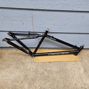 Santa Cruz Chameleon | eBay