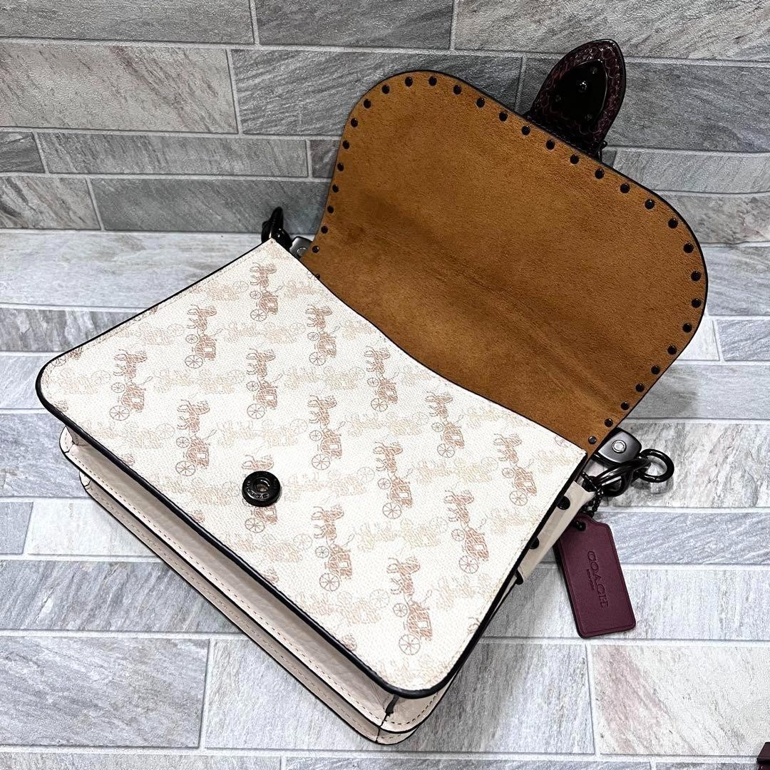 COACH BEAT 4593 Python Leather 2Way Shoulder Bag … - image 4