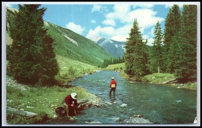 Postcard Trout Fishing Phoenix AZ P58