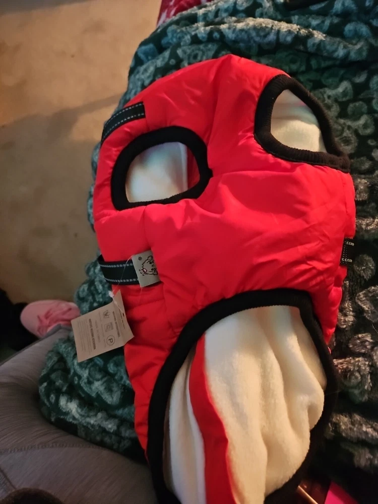dog harness small