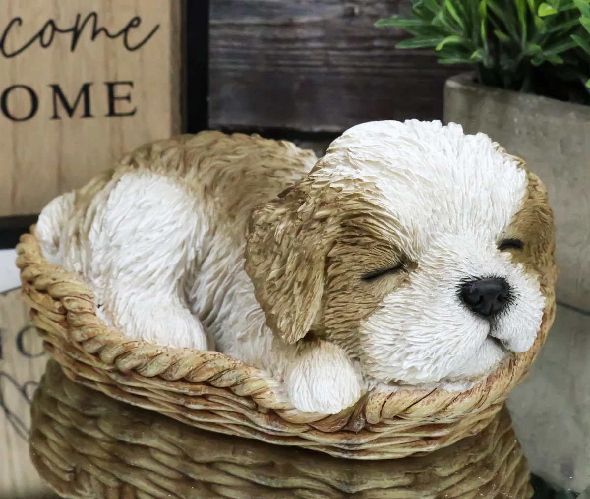 Dog top sleeping basket