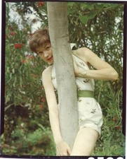 Shirley MacLaine 1950's Leggy Fashion Photo Shoot Original 4x5 Transparency
