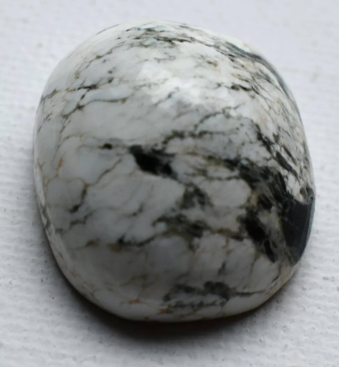 Zebra Stone Black and White Magnesite Polished Specimen from North