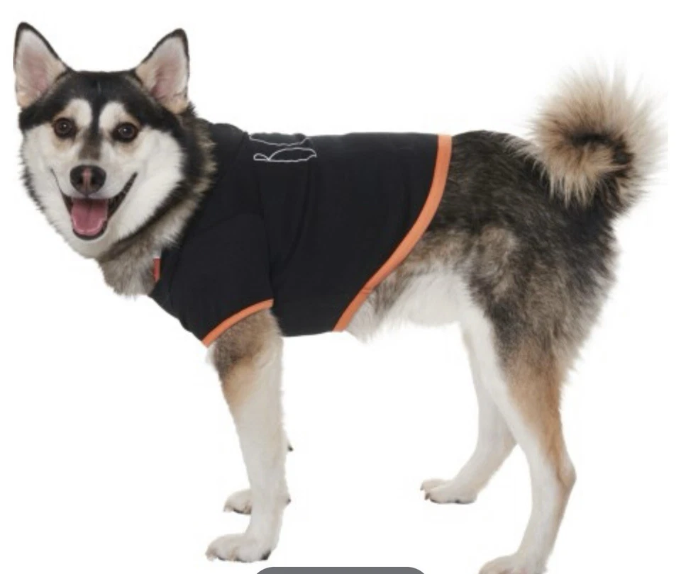 Fantasia de Halloween para Cachorro Camisa “BOO” - Tamanho M (Médio) Rae Dunn - Imagem 2 de 4