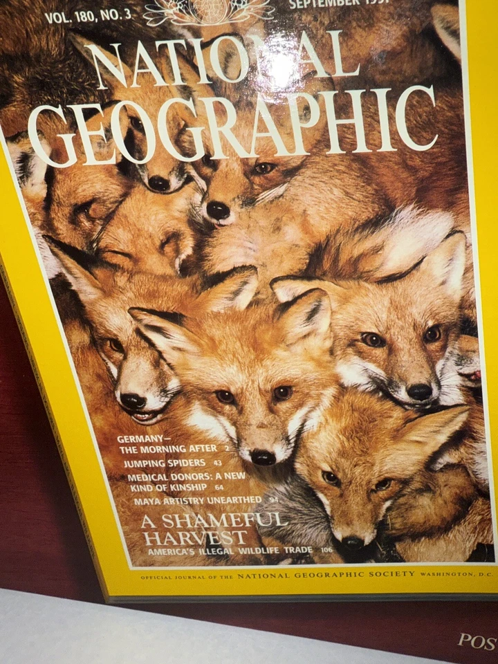 Rompecabezas Parker Bros National Geographic Red Fox cubierta de revista 1000 piezas NUEVO Foto 4 de 4