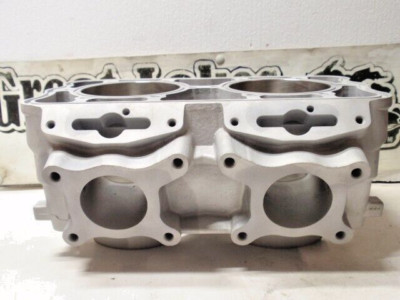 OEM Polaris 3022449 800 Cylinder RMK Rush Pro R New Reman Snowmobile $100 Refund