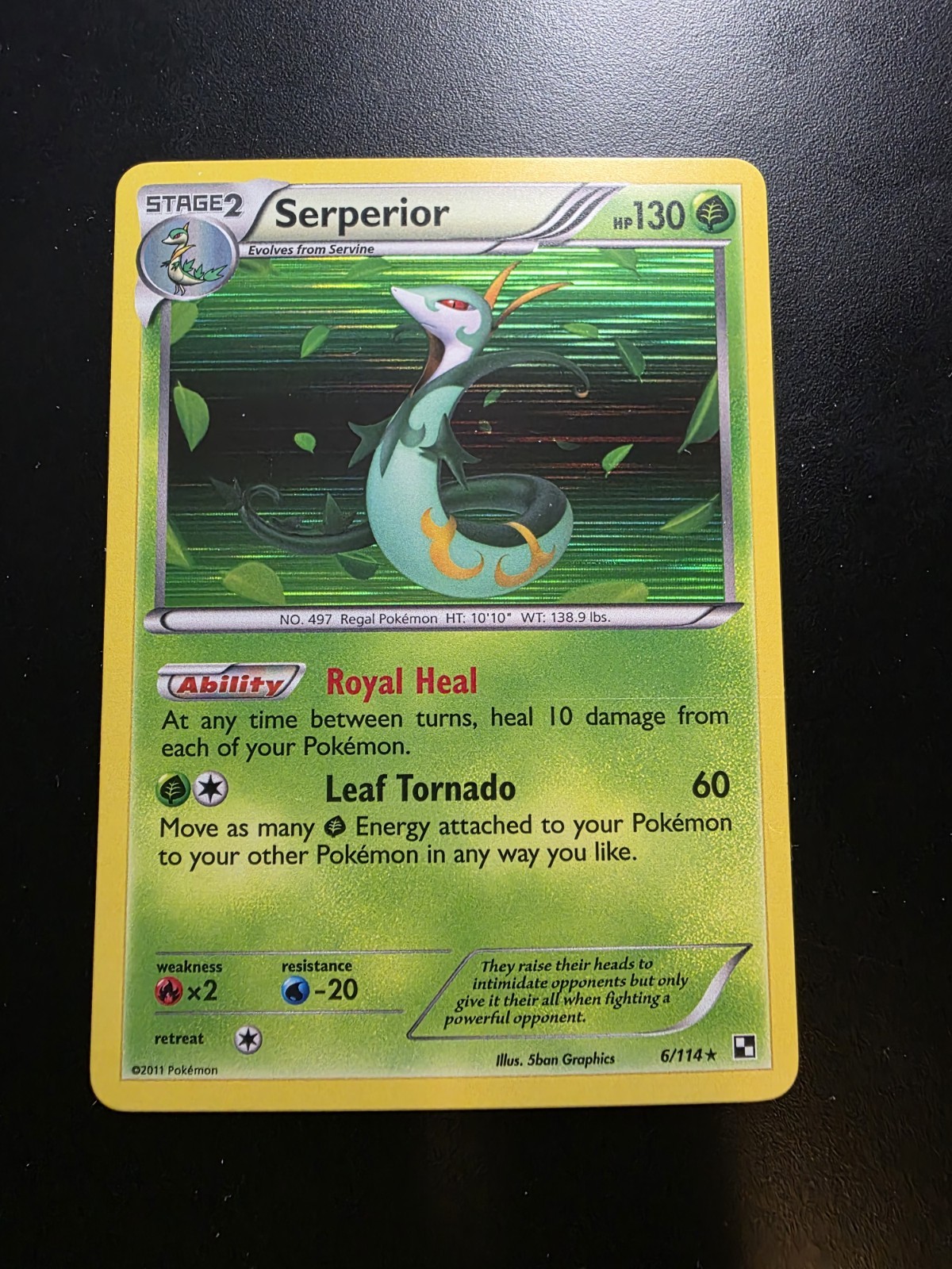 Serperior 6/114 Black and White Holo Rare Pokemon Card - NM