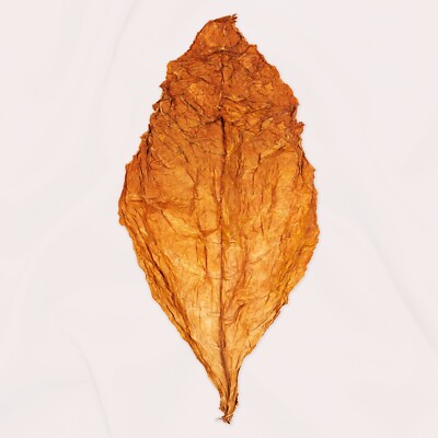 Burley Rohtabak 1 kg Duft & Deko Blätter Naturtabak | Premium Tobacco