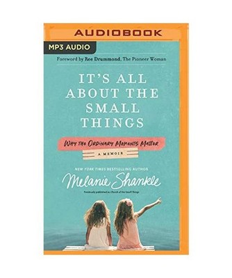 It's All about the Small Things: Why the Ordinary Moments Matter, Melanie Shankl