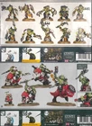 Kill Team Exodite - Orks - Beast Snagga Boyz Squighog Boyz ~ $0 US TARRIFS ~