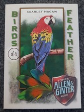 2021 TOPPS ALLEN AND GINTER BIRDS OF A FEATHER MACAW INSERT#BOF-3