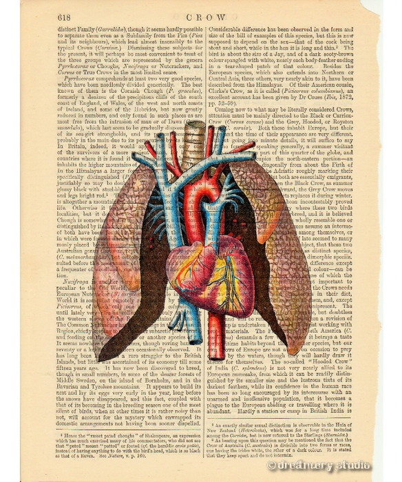 Heart & Lungs Art Print on Vintage Book Page Medical Anatomy Decor ...