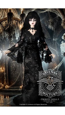 Dollmore] 41 in Trinity Doll F - Ravenna Nocturn Mio - LE10 (Face