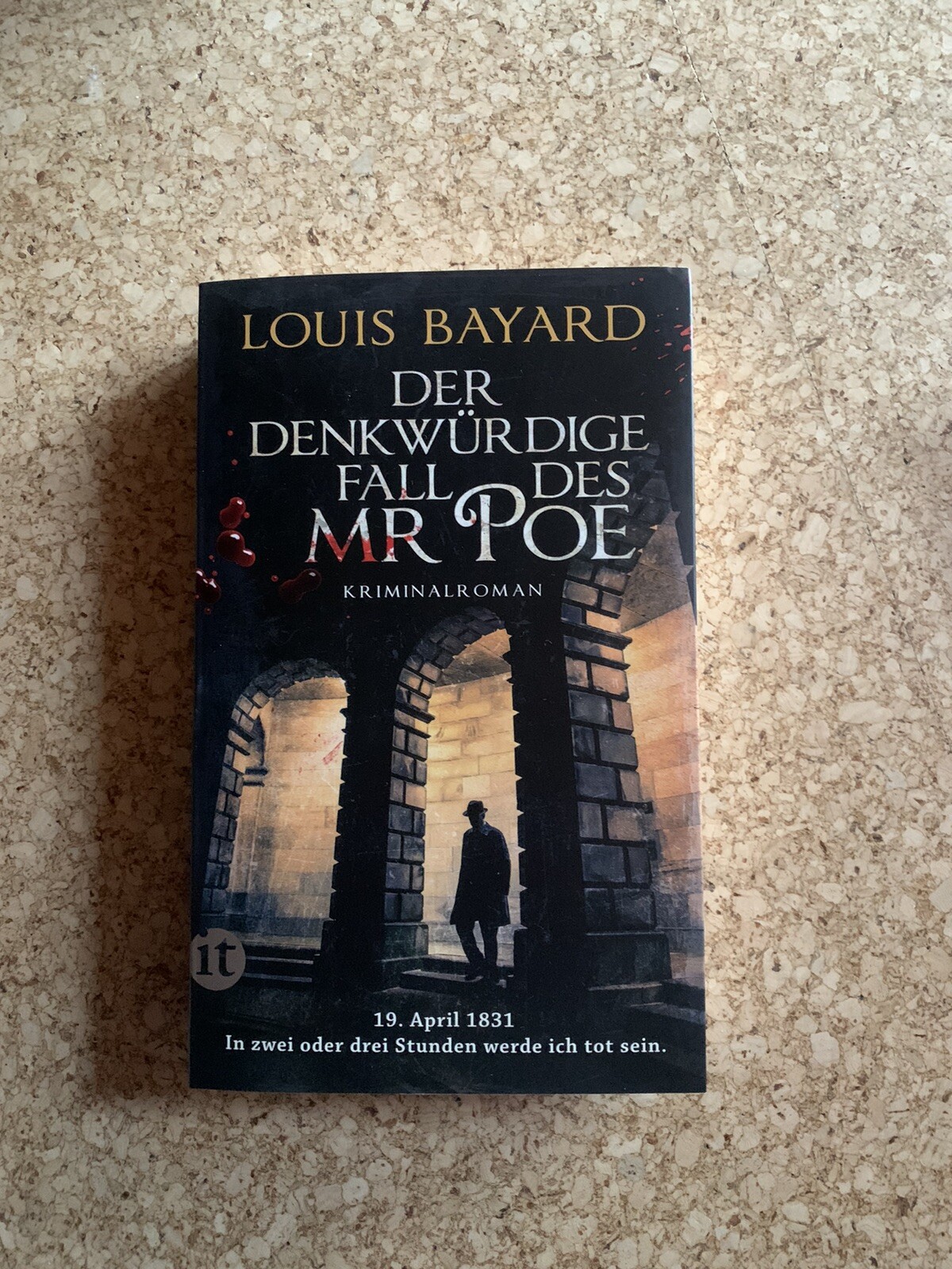 Thumbnail - Der Denkwürdige Fall Des Mr Poe | Louis Bayard | 2022 | Deutsch