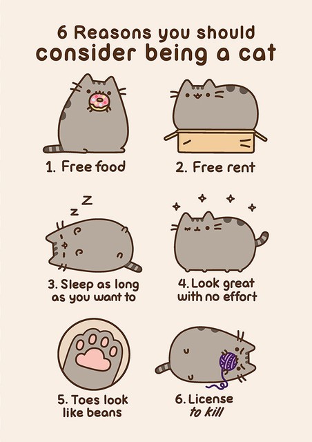 PUSHEEN 6 REASONS TO CONSIDER BEING A CAT GREETING CARD BIRTHDAY GIFT APP KITTEN