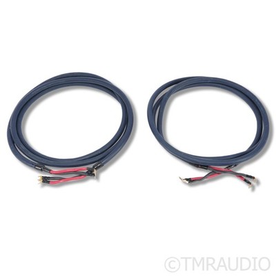 AudioQuest Midnight 2 Hyperlitz Speaker Cables; 10ft Pair | eBay