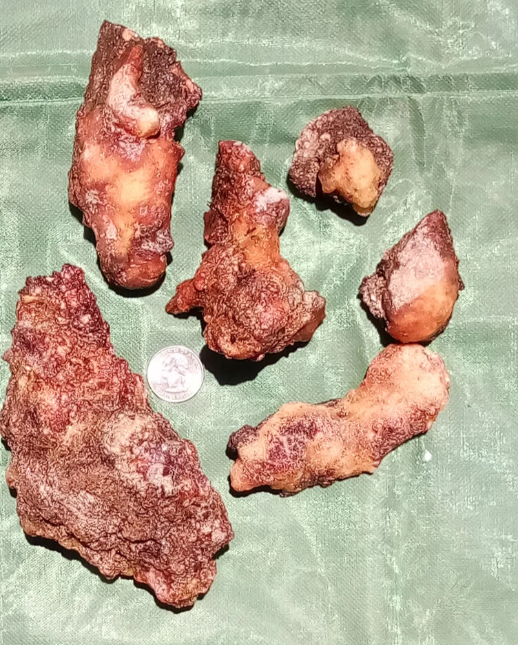 Piñon Pine Tree Sap/Resin/Pitch 'Seconds', from SW New Mexico W/Bark on Multiuse - Image 2 of 4