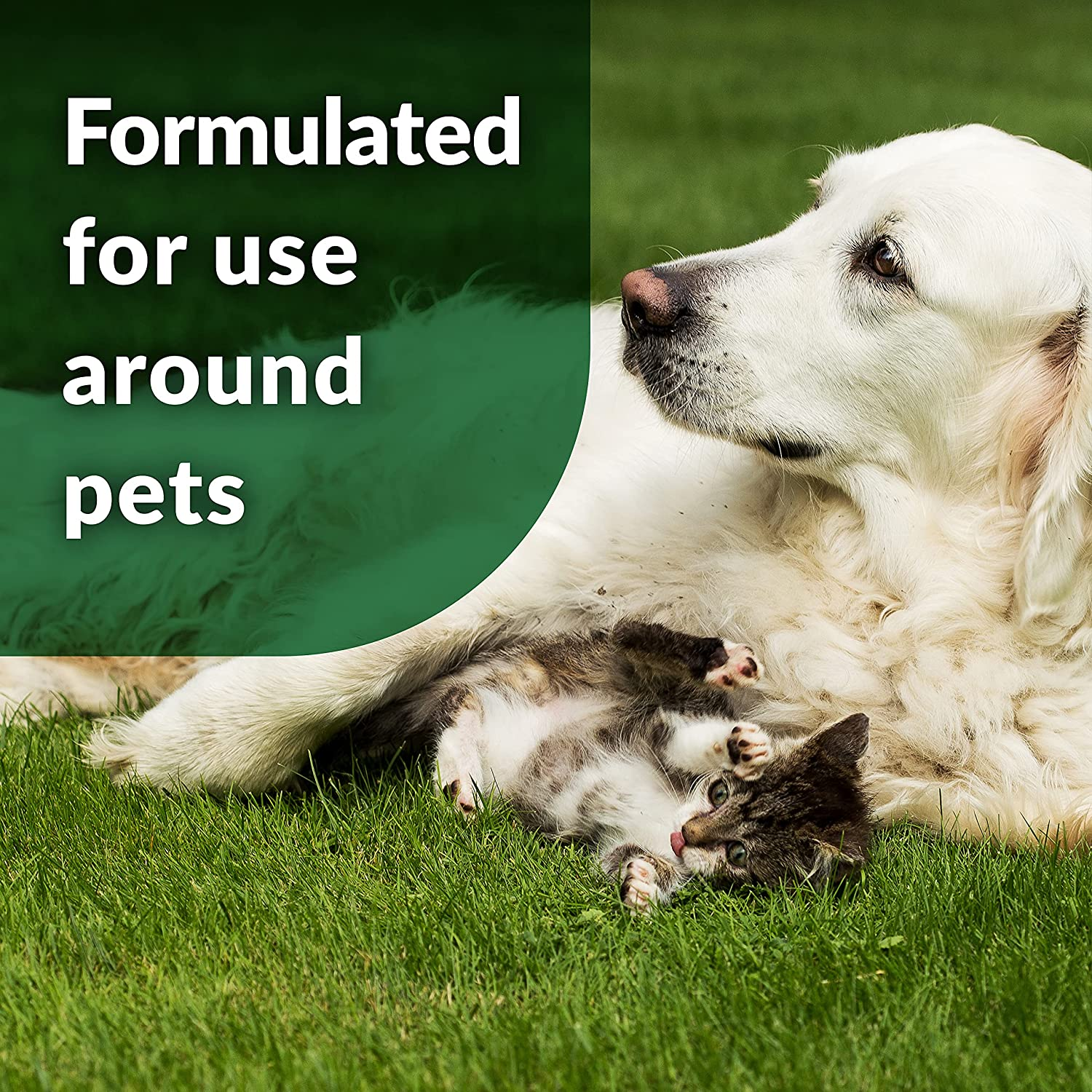 dog odor remover for yard
