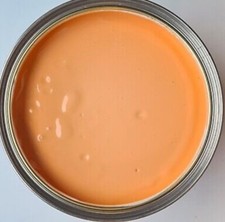 PASTEL ORANGE MASONRY PAINT   5 LITRE ONECOAT, Exterior Wood/walls/render