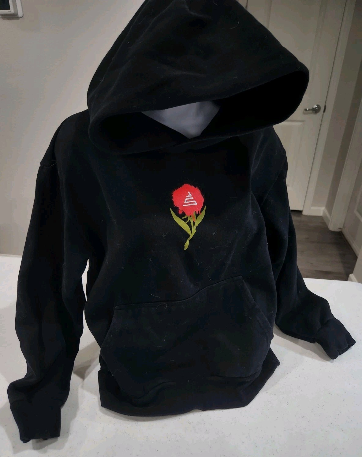Red Rocks Amphitheater Tour Hoodie