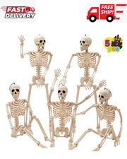 5 PCS Posable Halloween Skeleton Decor 16 Inches, Full Body Posable Joints Ha...