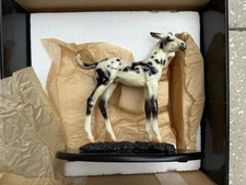 RARE NEW Resin Model Horse Equine Collection Starlite Mule Foal Kitty Cantrell