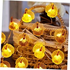  Fall Harvest 3D Turkey String Lights, Cute Decorative Lights Battery Powered