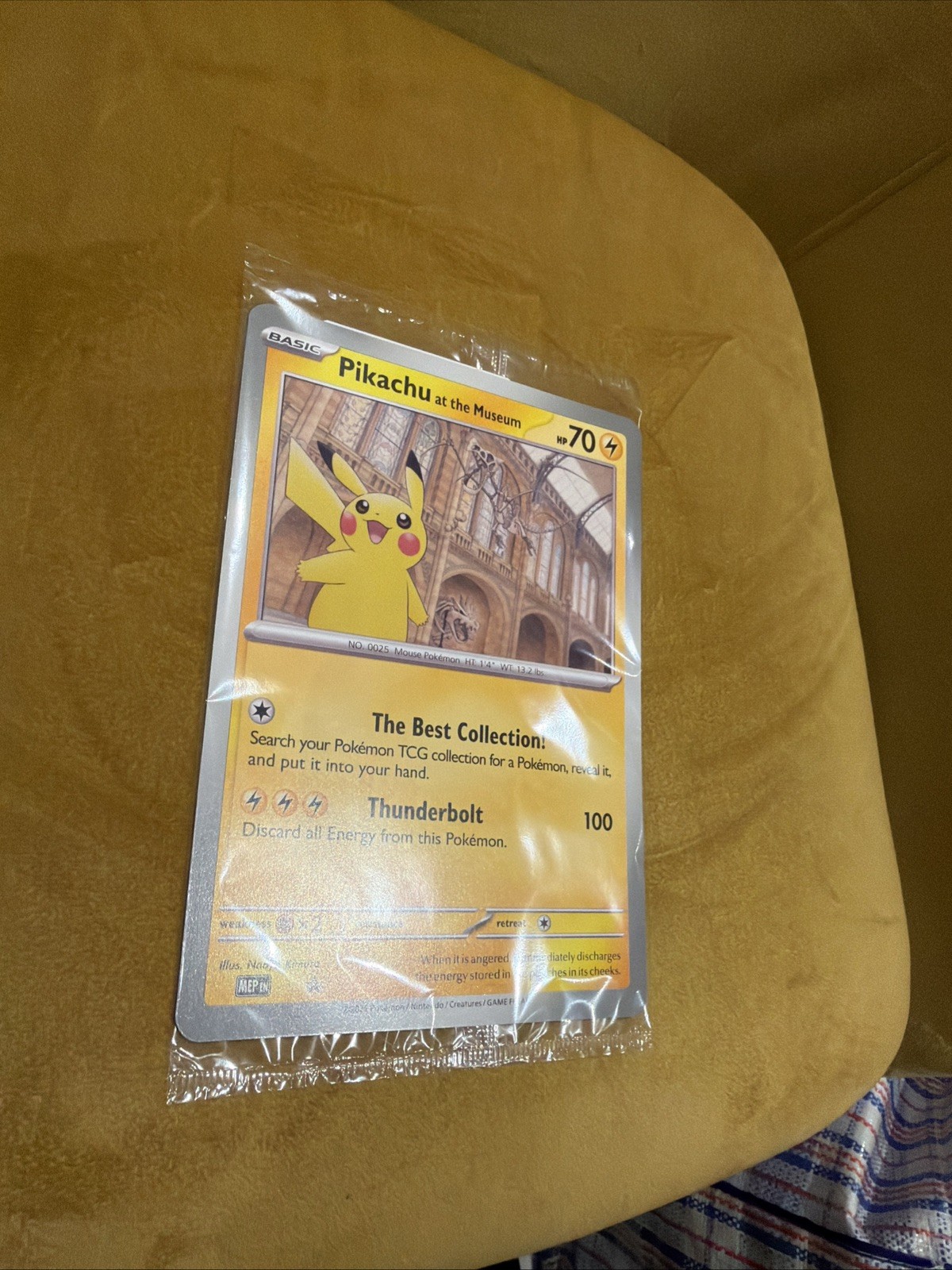 Pokemon TCG: Pikachu at the Museum Promo Card, Brand New Sealed Condition