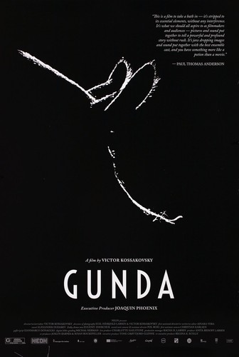 Gunda 2020 U.S. One Sheet Poster